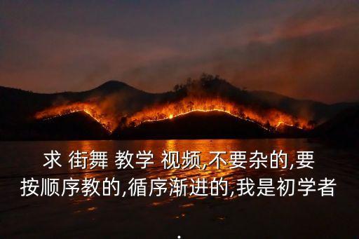 求 街舞 教学 视频,不要杂的,要按顺序教的,循序渐进的,我是初学者.