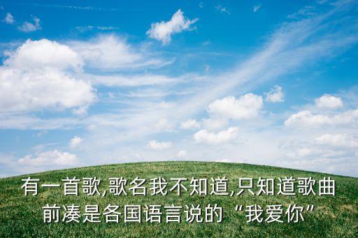 有一首歌,歌名我不知道,只知道歌曲前凑是各国语言说的“我爱你”
