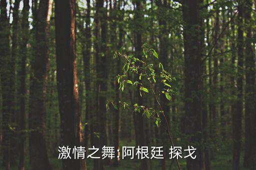 激情之舞:阿根廷 探戈
