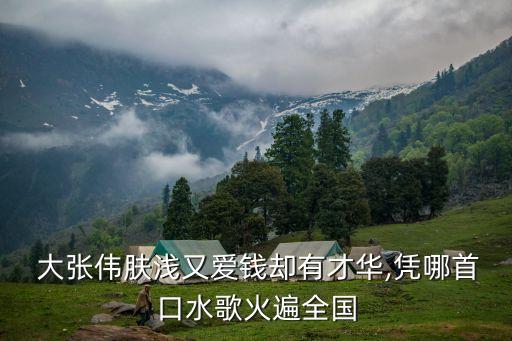 大张伟肤浅又爱钱却有才华,凭哪首口水歌火遍全国