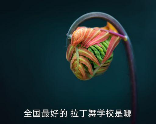 全国最好的 拉丁舞学校是哪