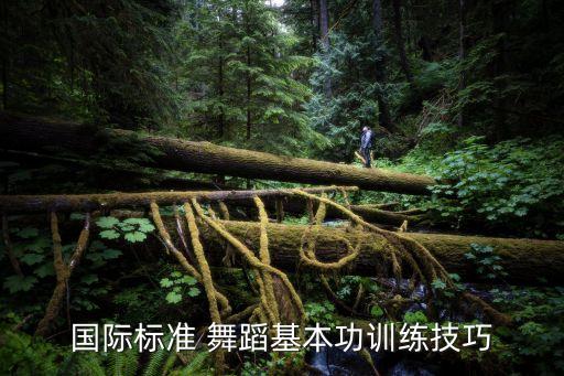 舞蹈技巧教学内容,儿童舞蹈课程教学内容