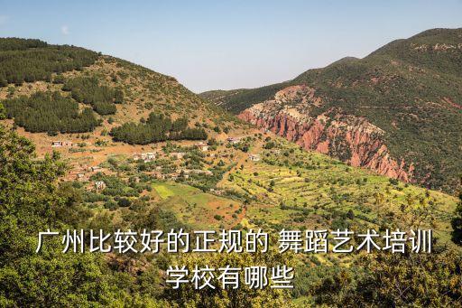  广州比较好的正规的 舞蹈艺术培训学校有哪些