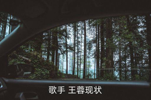 歌手 王蓉现状