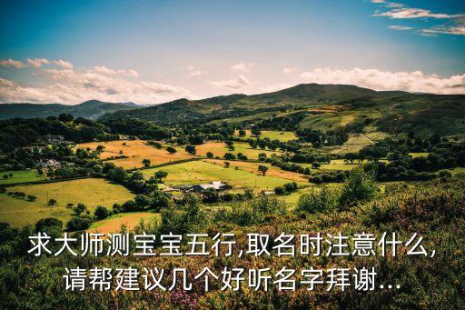求大师测宝宝五行,取名时注意什么,请帮建议几个好听名字拜谢...