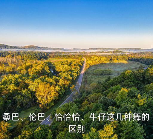 西班牙跳什么舞蹈视频,正宗西班牙斗牛舞蹈视频