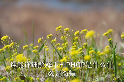 谁能详细解释下HIPHOP是什么什么是街舞