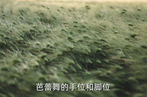 舞蹈断脚指,舞蹈的五个脚位图解
