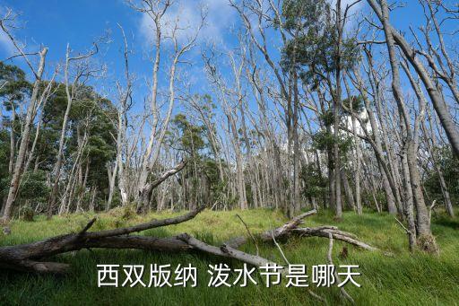 泼水节的音乐舞蹈视频,傣族泼水节音乐舞蹈