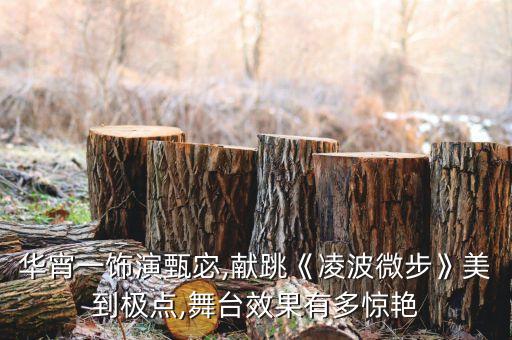 华宵一饰演甄宓,献跳《凌波微步》美到极点,舞台效果有多惊艳