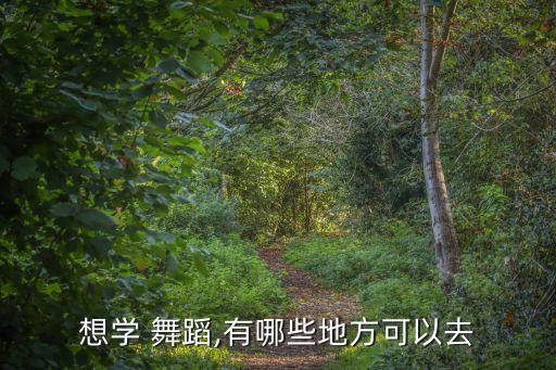 舞蹈工作室规模,舞徒舞蹈工作室