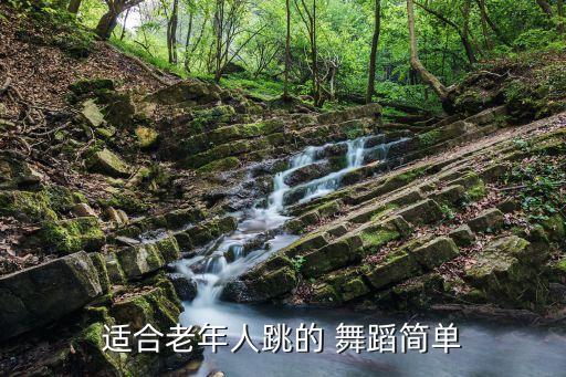 中老年适合的舞蹈视频下载,38节中老年健身操视频下载