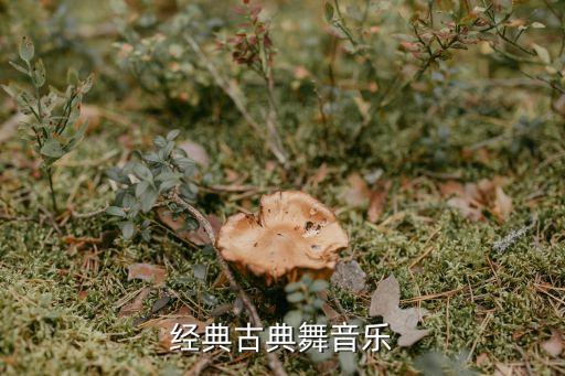 望江南舞蹈教程