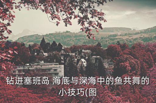 钻进塞班岛 海底与深海中的鱼共舞的小技巧(图