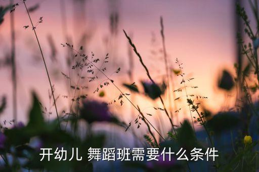 开幼儿 舞蹈班需要什么条件