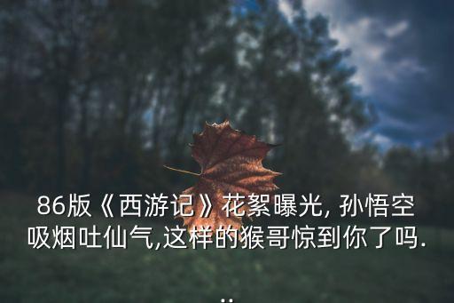 就是孙悟空舞蹈视频,我不是孙悟空视频舞蹈完整版教学