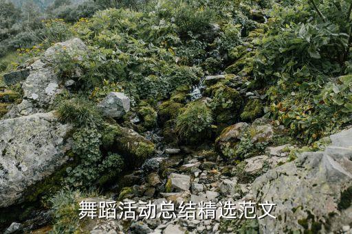  舞蹈活动总结精选范文