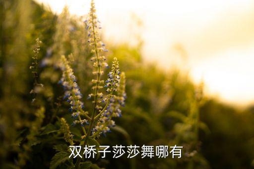 双桥子莎莎舞哪有