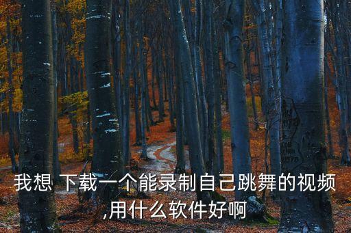 我想 下载一个能录制自己跳舞的视频,用什么软件好啊