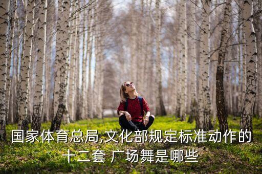 广场舞兰兰舞蹈团Style,兰兰广场舞冰凉凉的风