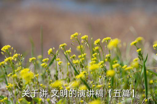 关于讲 文明的演讲稿【五篇】