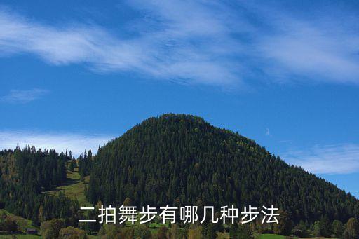 二拍舞步有哪几种步法