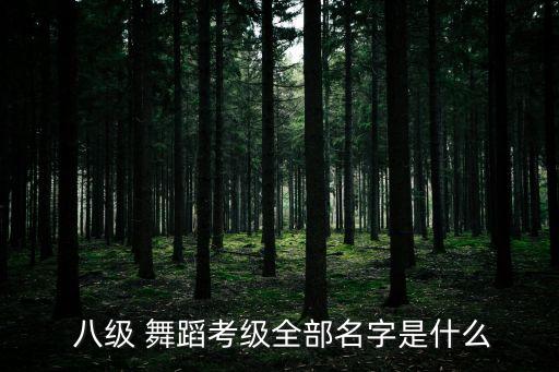  八级 舞蹈考级全部名字是什么