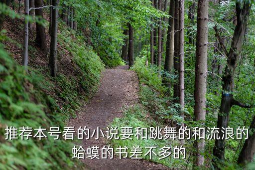 推荐本号看的小说要和跳舞的和流浪的 蛤蟆的书差不多的