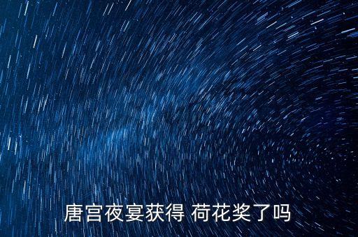 唐宫夜宴获得 荷花奖了吗