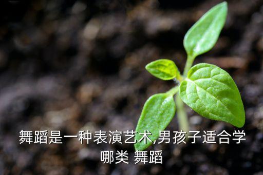  舞蹈是一种表演艺术,男孩子适合学哪类 舞蹈