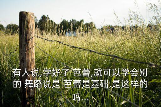 有人说,学好了 芭蕾,就可以学会别的 舞蹈说是 芭蕾是基础,是这样的吗...
