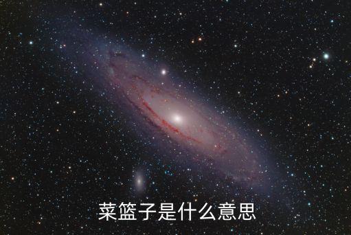  菜篮子是什么意思