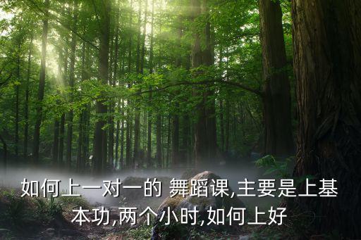 如何上一对一的 舞蹈课,主要是上基本功,两个小时,如何上好