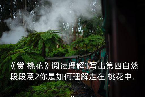 《赏 桃花》阅读理解1写出第四自然段段意2你是如何理解走在 桃花中...