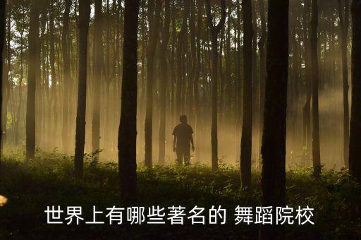 全球最好的舞蹈大学,广东省最好的舞蹈大学