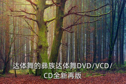 糖豆广场舞彞族舞蹈