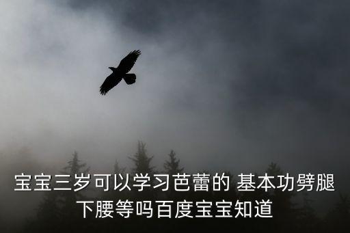 宝宝三岁可以学习芭蕾的 基本功劈腿下腰等吗百度宝宝知道
