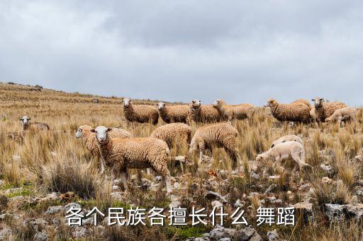 各个民族各擅长什么 舞蹈