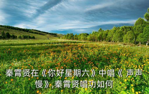 秦霄贤在《你好星期六》中唱《 声声慢》,秦霄贤唱功如何