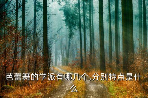 芭蕾舞的学派有哪几个,分别特点是什么