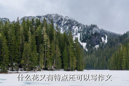 什么花又有特点还可以写作文