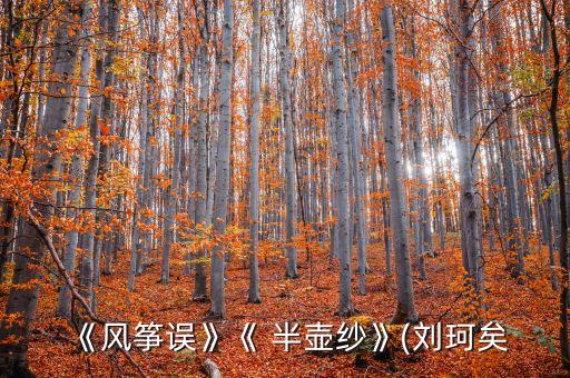 舞蹈半壶纱主要内容,十一点半舞蹈主要内容