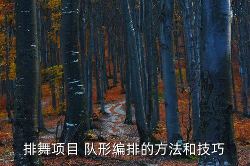 排舞项目 队形编排的方法和技巧