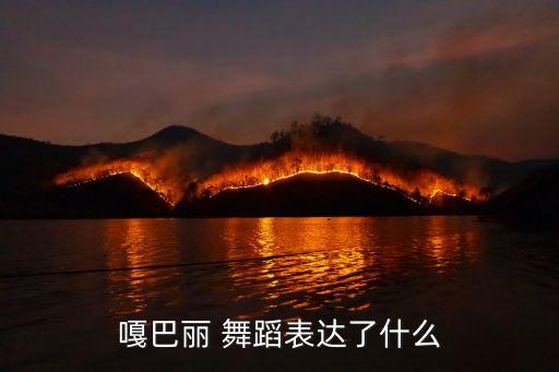 嘎巴丽 舞蹈表达了什么