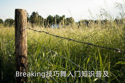 舞蹈仰卧起坐技巧视频,仰卧起坐的正确方法与技巧视频