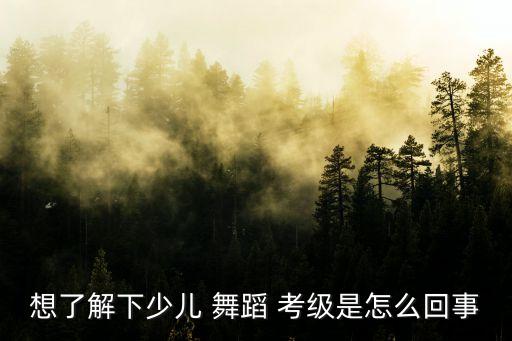 想了解下少儿 舞蹈 考级是怎么回事