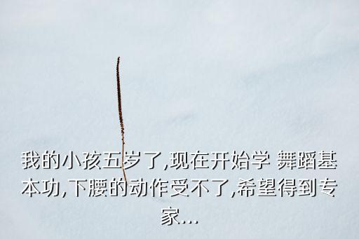 舞蹈中地面卷腰,舞蹈后卷腰的动作要领