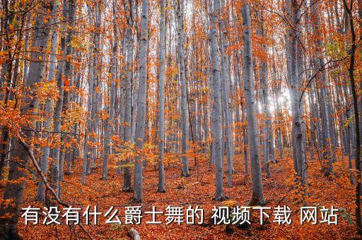 比较热门的舞蹈视频网站,热门舞蹈视频完整版