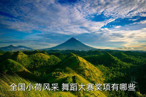 全国小荷风采 舞蹈大赛奖项有哪些