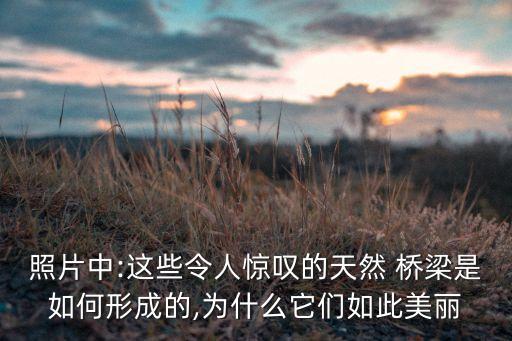 照片中:这些令人惊叹的天然 桥梁是如何形成的,为什么它们如此美丽